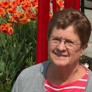 Meet your Posher, Dolores